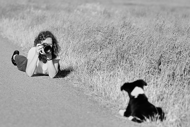 Gabriele Fritzmann Tierfotografin - Dog Shooting mit Welpe. Schwegenheim, Rheinpfalz Kreis, Speyer, Dudenhofen, Römerberg, Lingenfeld, Germersheim